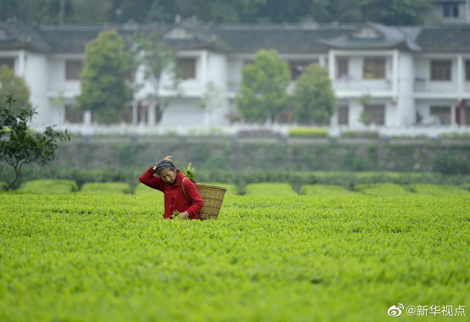 习近平总书记在深度贫困地区脱贫攻坚座谈会上的重要讲话引起强烈反响