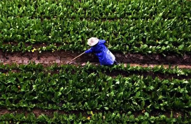 农业气象:16号后湖南、江西将有大雨,南方时阴时晴,气温低迷