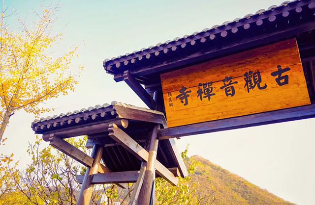 在西安不可错过的古观音禅寺,穿梭千年回盛唐,赏千年银杏