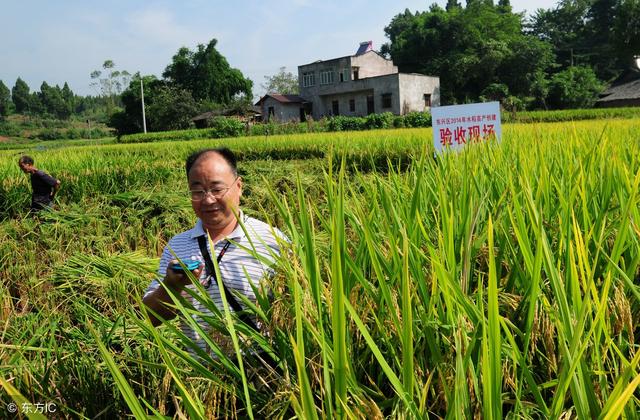 2019年两个新的资金:一个600元\/亩,一个900元