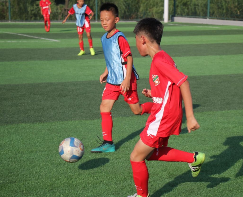关于南京沙叶足球俱乐部招募梯队球员试训的通