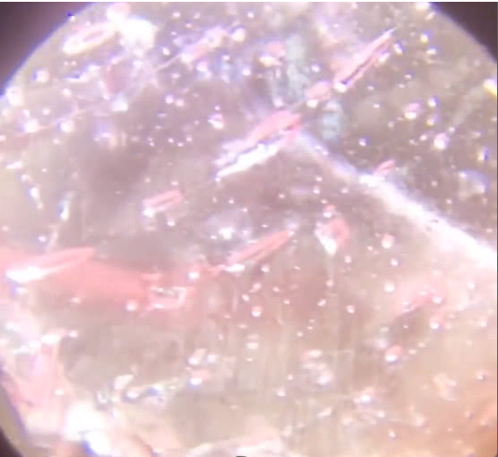 小时候吃过的棒棒糖放大百倍,没想到,网友:终于等到了