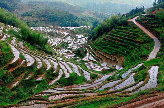 遂川gdp2020上半年_李建国在遂川县调研上半年经济运行工作