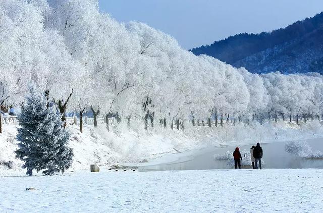 冬天旅游，要么冷到發(fā)抖，要么暖到心口！