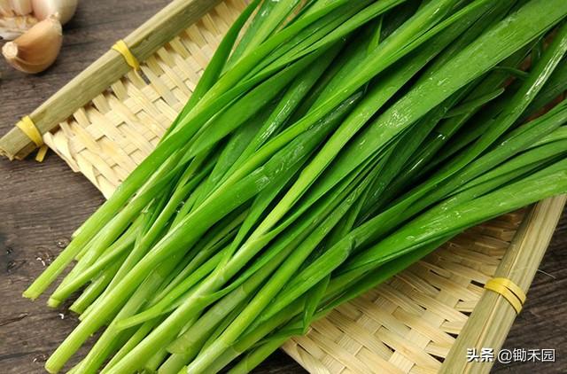 春节期间如何让韭菜一周不坏?农民有妙招,竟如此简单!