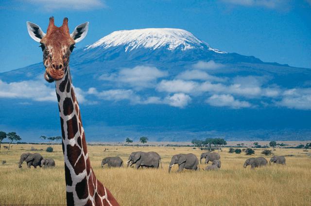 非洲第一高山，以赤道雪山而闻名于世