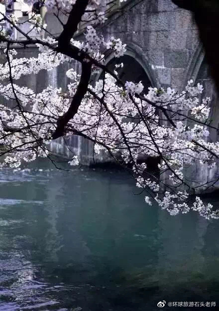 正是江南好风景，落花时节又逢君！