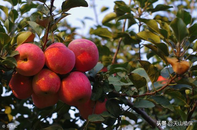 电脑唤醒时候会自动开启大写是为什么呢？有大佬帮忙下吗？谢谢