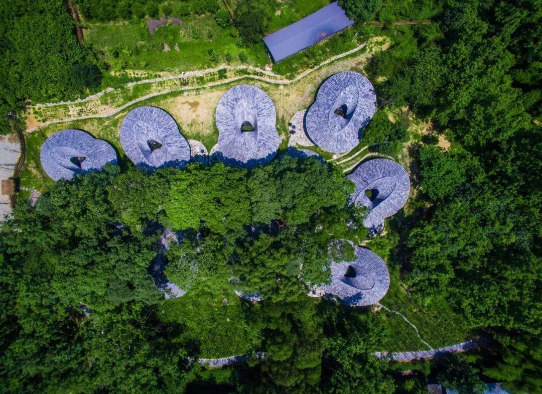 侠客岛为何关注成都