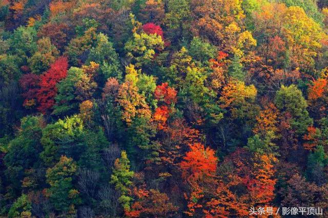 好美平顶山,好想去看看……!
