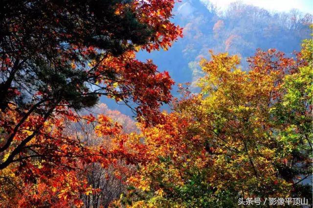 好美平顶山,好想去看看……!