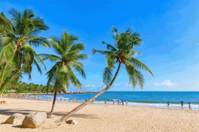 第十六届中国会展行业年会将于1月在海南三亚隆重举行!