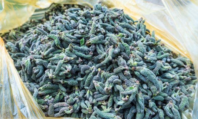 农村树上这“绿毛虫”,大集上卖8元一斤,城里人看见了疯抢!