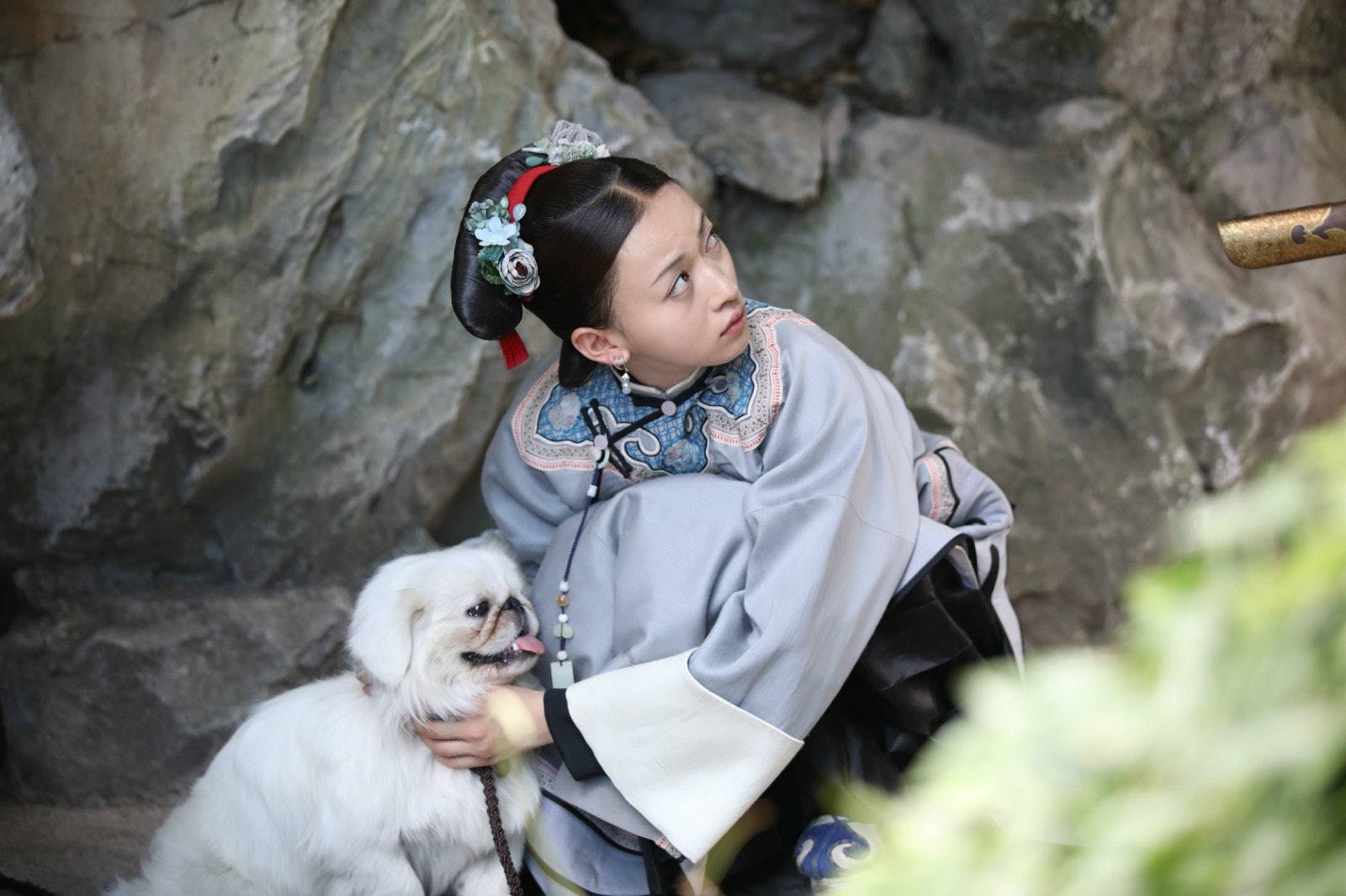 《延禧攻略》璎珞宫中地位低过狗狗雪球, 救人