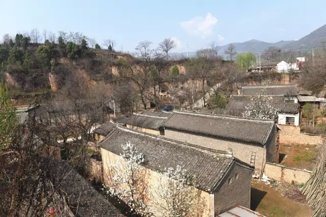 要火啦!电视剧《初婚》6月5日央视开播,大多镜