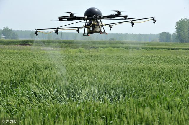 2019年土地大变动,这5种情况将领不到农业补