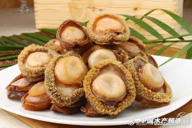 40万天价账单里半头鲍什么来头