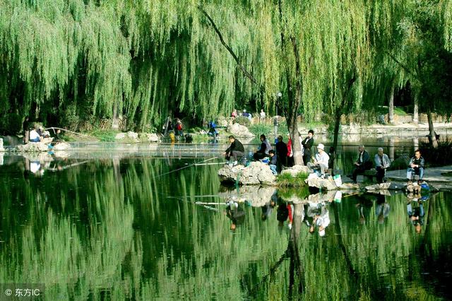 北京紫竹院公园风景美丽,值得游玩的好地方!