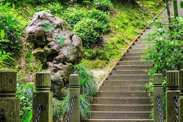 狮峰山是浙江省西湖龙井原产地一级保护区,这里的自然生态条件得天独