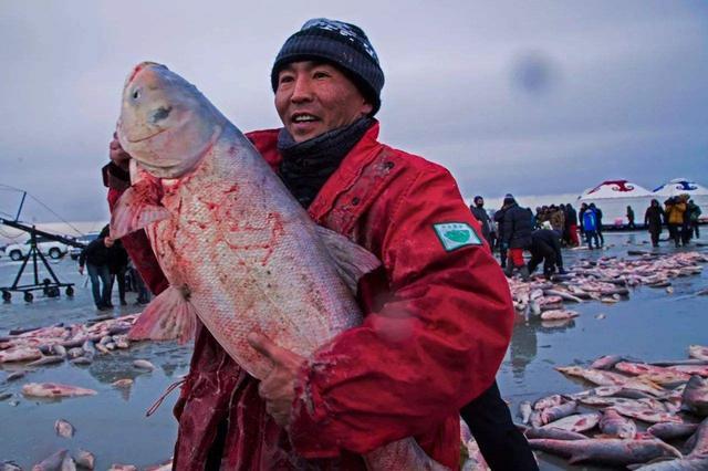 中国有两个神奇的湖，水产品越捞越多，当地的养殖户都高兴极了