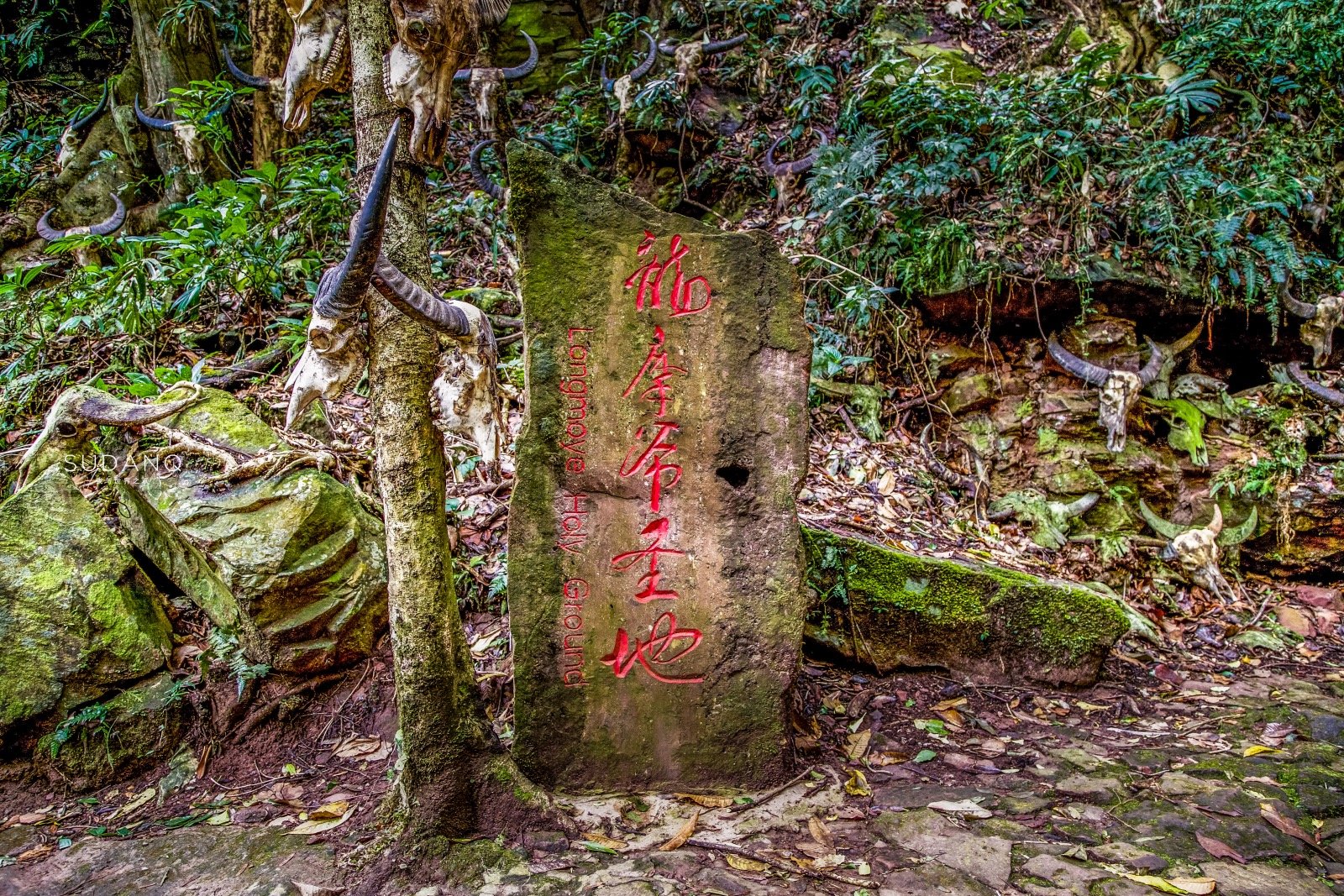 云南“最神秘”的景点：龙摩爷圣地，牛头祭祀和“猎人头祭谷”