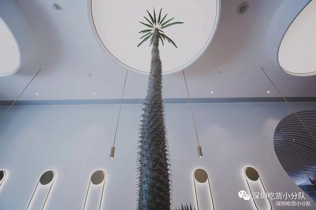 谎言水果茶,名字就错了!