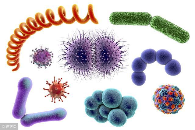 这种病菌感染在儿童非常常见,要治不需要多少