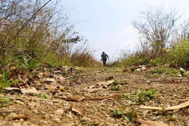 咸祥镇的横山村,藏着一条横山古道