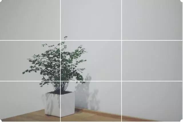 7个摄影构图技巧，简单有效！|构图|物体|九宫格_新浪新闻