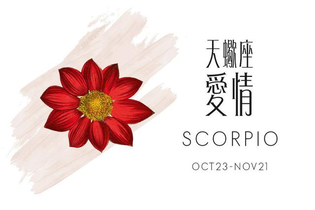 天蝎座2019星座运程预测+爱情锦囊天秤座带什么手串图片