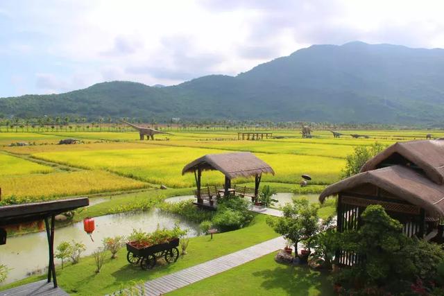 三亚水稻国家公园获“中国最佳新型旅游项目奖”提名奖