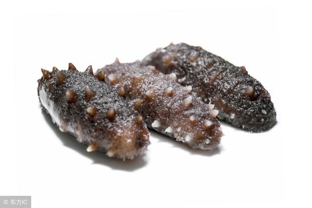 为什么别人发的海参个头大,发制海参的技巧,新