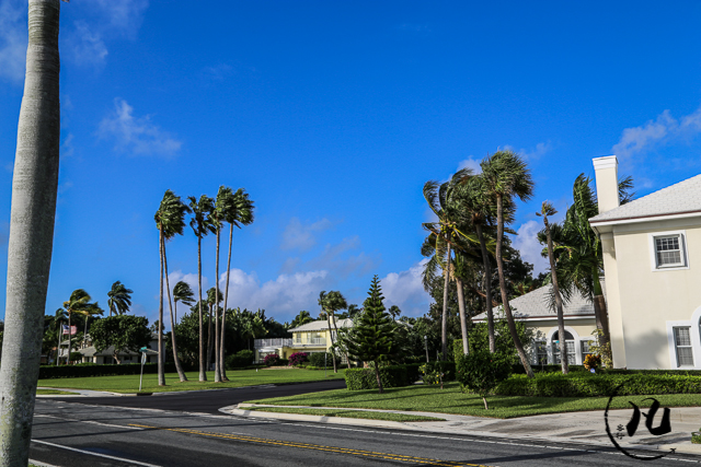 迈阿密的富人区,独栋别墅要上百万美元,有人说赶不上北京两居 迈阿密的富人区,独栋别墅要上百万美元,有人说赶不上北京两居