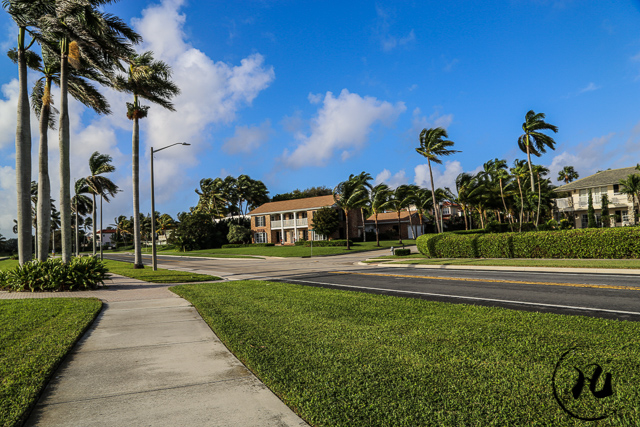 迈阿密的富人区，独栋别墅要上百万美元，有人说赶不上北京两居