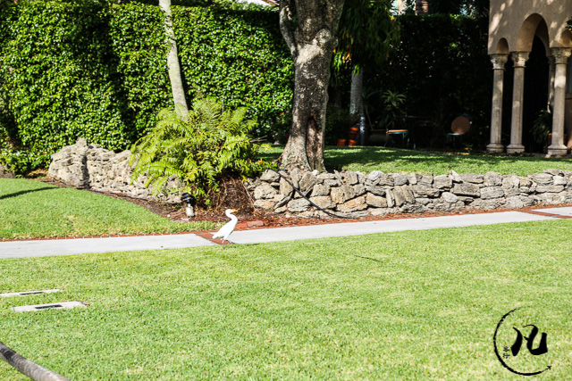 迈阿密的富人区,独栋别墅要上百万美元,有人说赶不上北京两居 迈阿密的富人区,独栋别墅要上百万美元,有人说赶不上北京两居