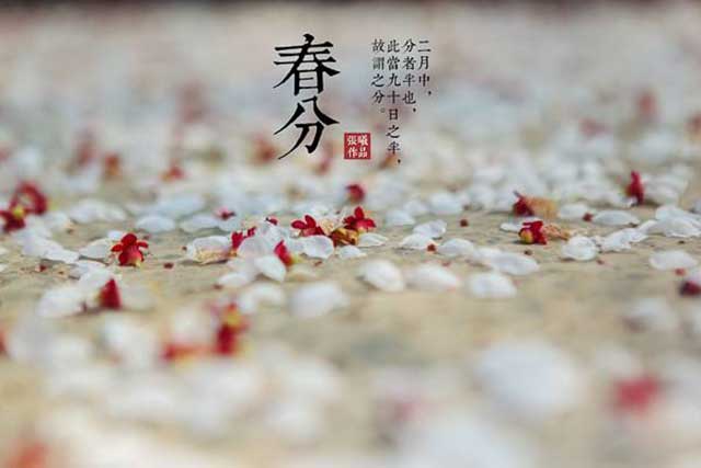 今日春分竖蛋迎春粘雀子嘴春分习俗知多少