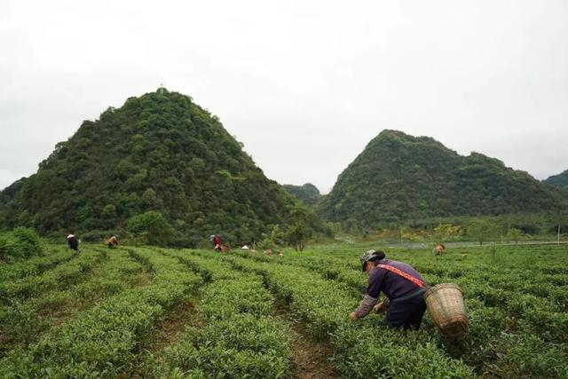 和“志玲姐姐”一起踏青是怎样的体验？