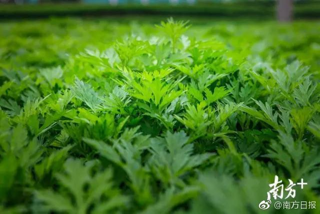 英超综合：曼城不胜 利物浦战平