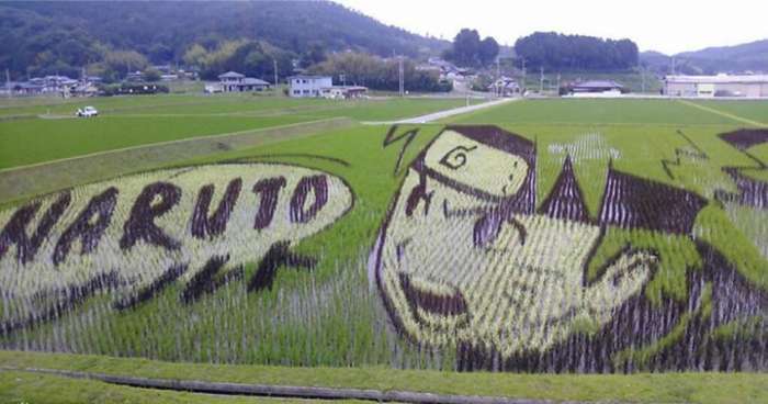 日本农村干净整洁, 姑娘穿着打扮朴素!