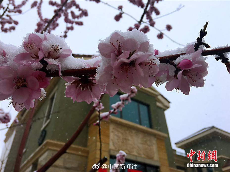 花蛤属于海鲜还是河鲜