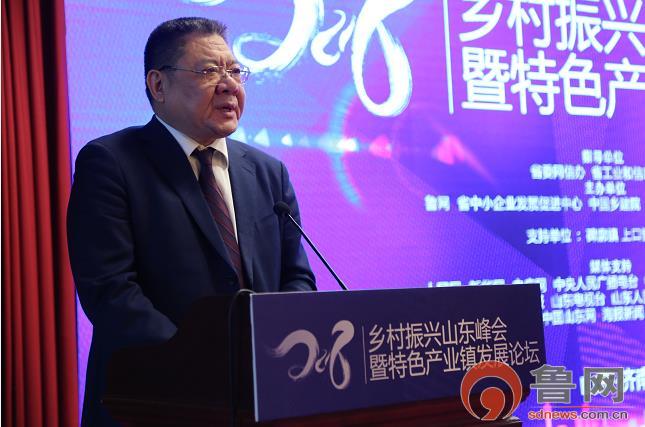 2018乡村振兴山东峰会暨特色产业镇发展论坛