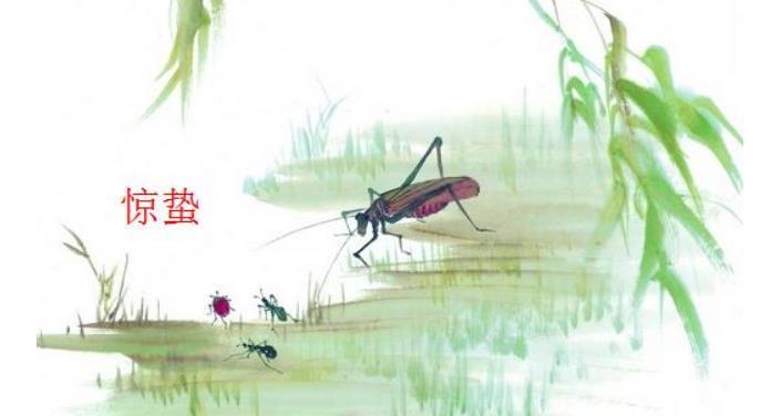 惊蛰,蛰虫惊而出走;这些会伤害宝宝的虫虫也开始蠢蠢欲动啦 惊蛰,蛰虫惊而出走;这些会伤害宝宝的虫虫也开始蠢蠢欲动啦