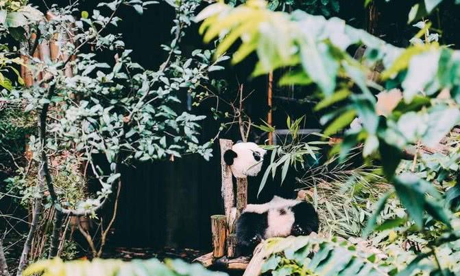 我国最 懒 的省会 当地人每天都喝茶打麻将