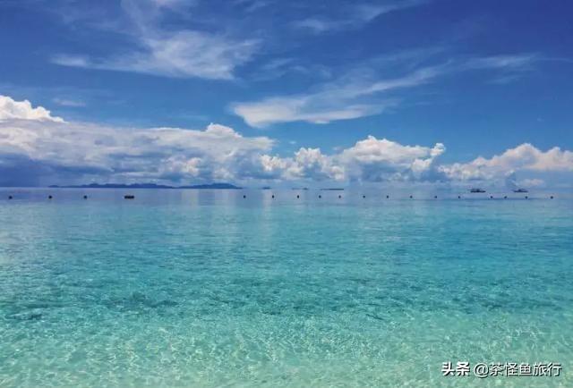 打卡最美鱼骨沙洲,东山岛这个秘境要藏不住了!