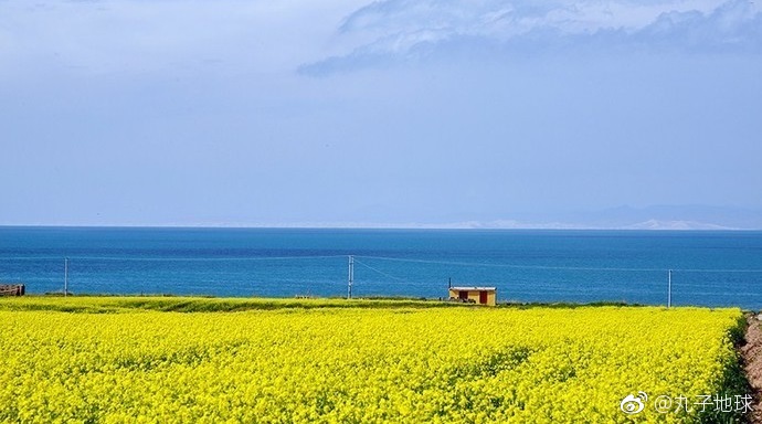 青海湖是我國最大的內(nèi)陸湖泊