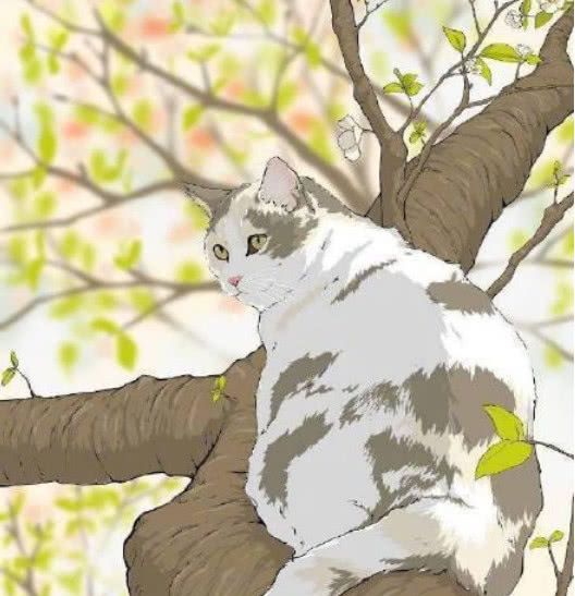 慵懒惬意的猫咪插画,幸福得让人想哭,不是多年的铲屎官体会不了