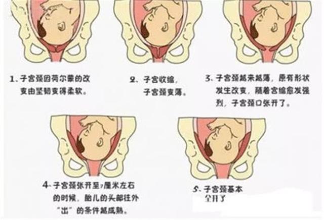 胎儿入盆的六大感受，入不了盆的五大原因，帮助入盆的三大方法
