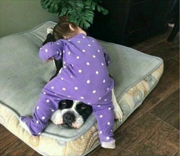 搞笑段子趣味图片:哈哈哈,熊孩子睡觉都不安分,厉害了