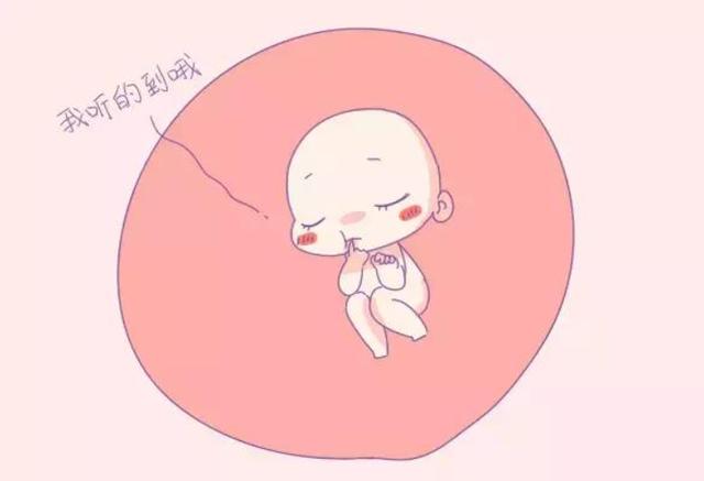孕期胎宝宝有这三个表现,将来出生后智商高,你中了几条?