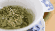四明山独产的瀑布茶上线了，点击获取本季新茶！